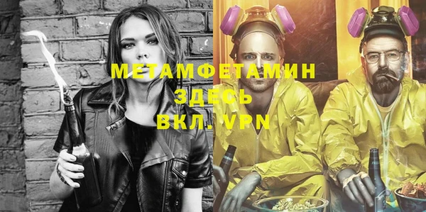 шишки Богородицк