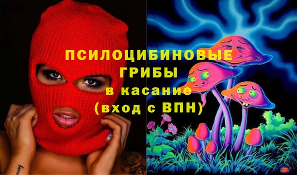 бошки Армянск