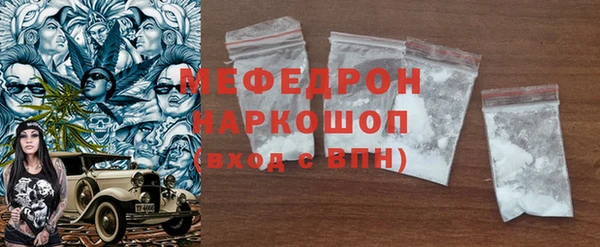 хмурый Аркадак