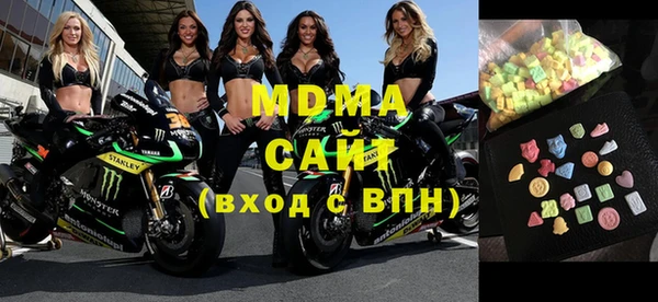 хмурый Аркадак
