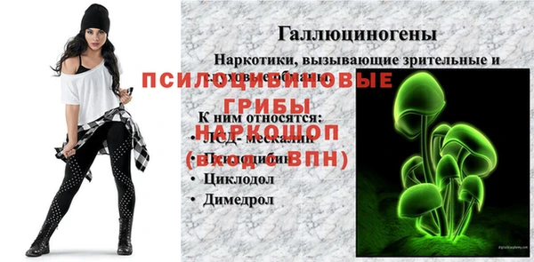 бошки Армянск
