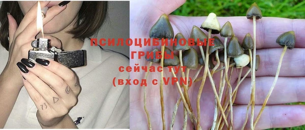 крисы Наволоки