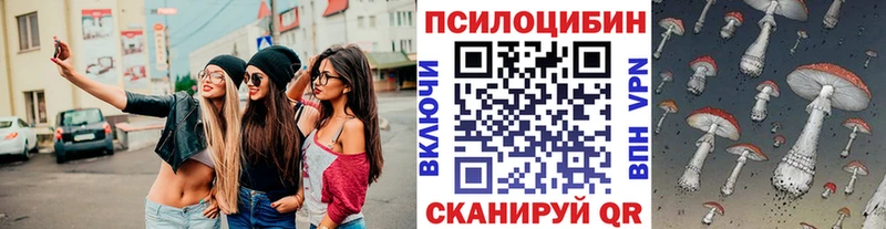 Псилоцибиновые грибы прущие грибы  Чернушка 